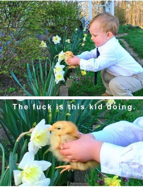 smell the goddamn flower you piece of shit baby chicken