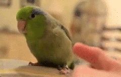 Oh, stop it you!