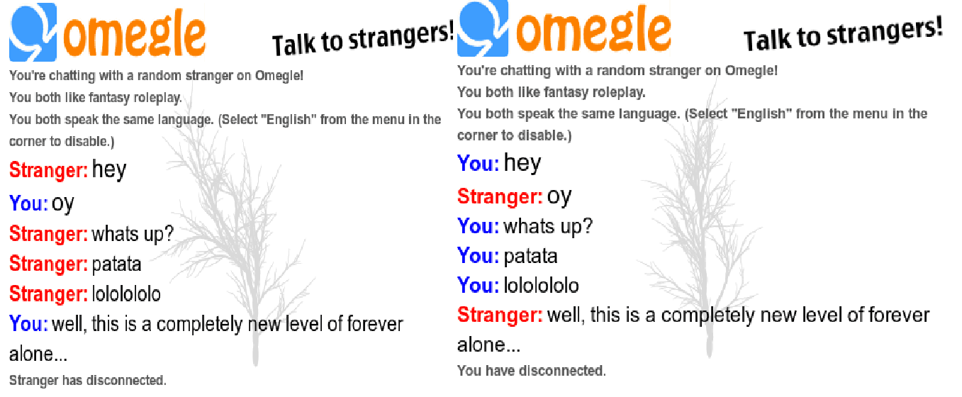 That moment when Omegle pairs you up with yourself. (I was using two tabs.)