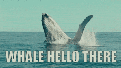 your mom says hello
