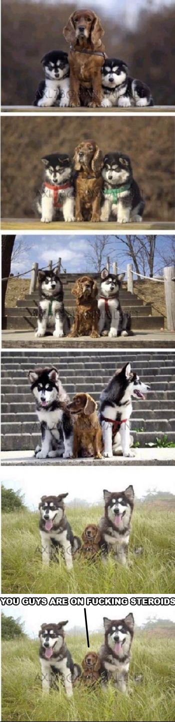 You guys are on steroids