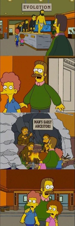 Flanders goes to the museum...