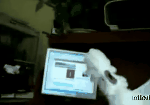 death metal parrot