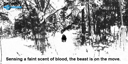 Bloodlusted monster