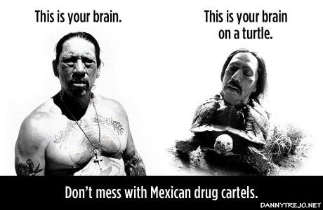 Danny Trejo just posted this