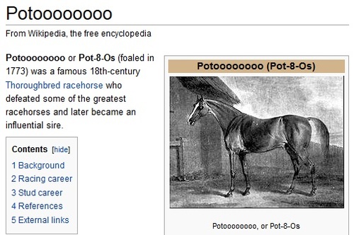 must have been an irish horse