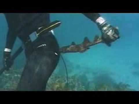 "You Know What Tom, You Can Go F*ck Yourself With A Shark!" "MAYBE I WILL B*TCH!"