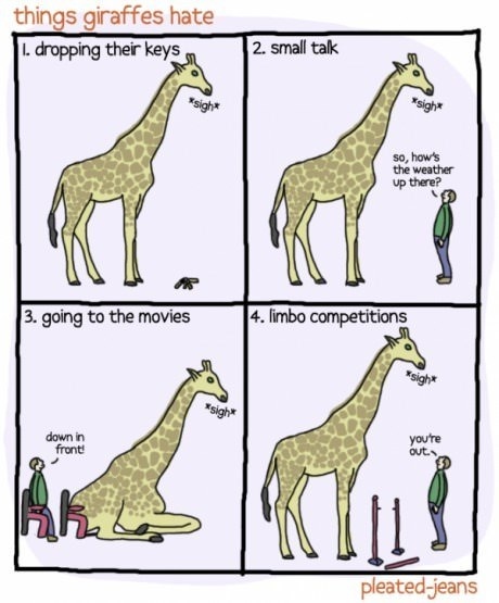Poor Giraffes