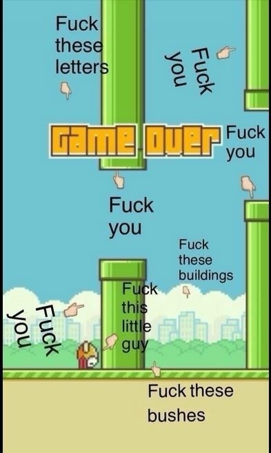 *** you flappy bird