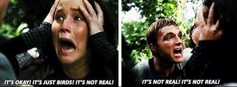 When you die on flappy bird..