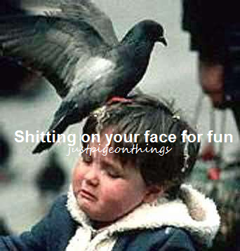 it dove right on his face
