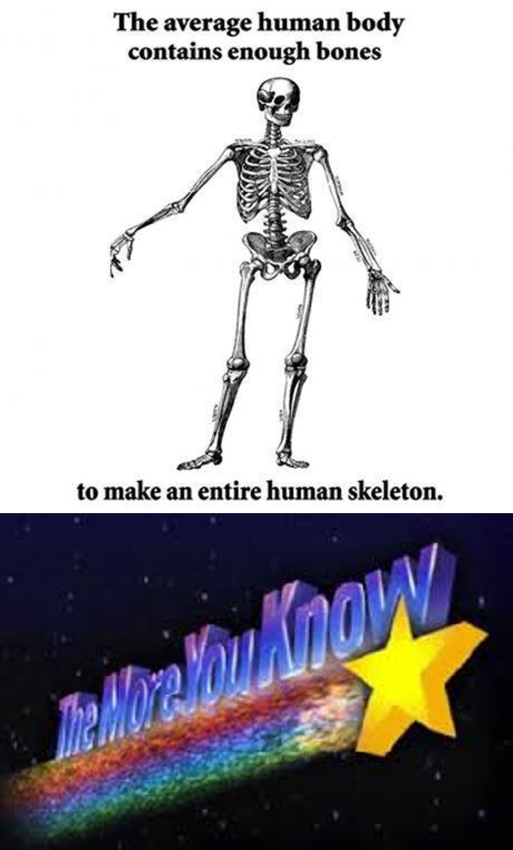 i did not know that