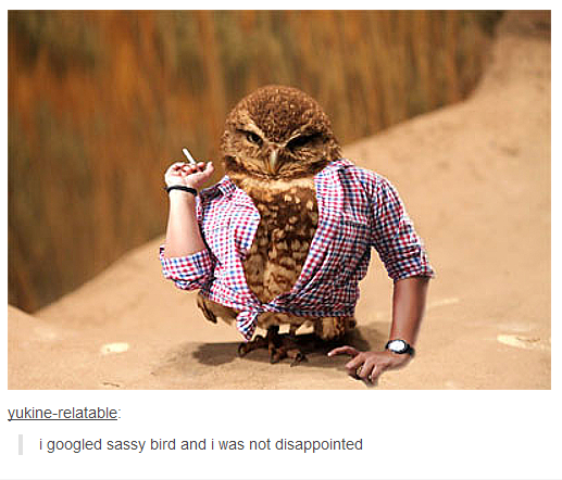 Damn sassy