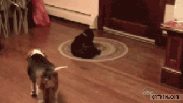 move your feet lose you sit