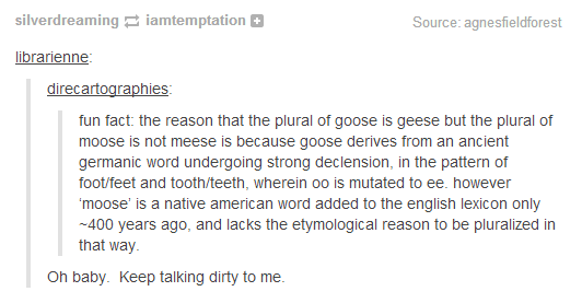so the plural of choose is cheese
