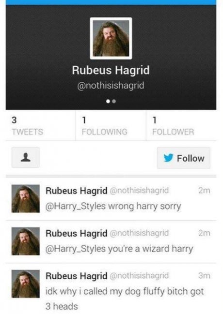 Hagrid on Twitter.