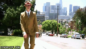 Best disguise ever