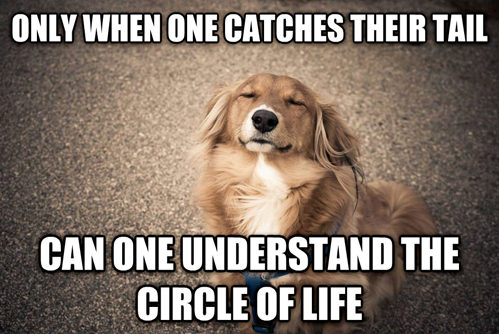 *sings Circle of Life*
