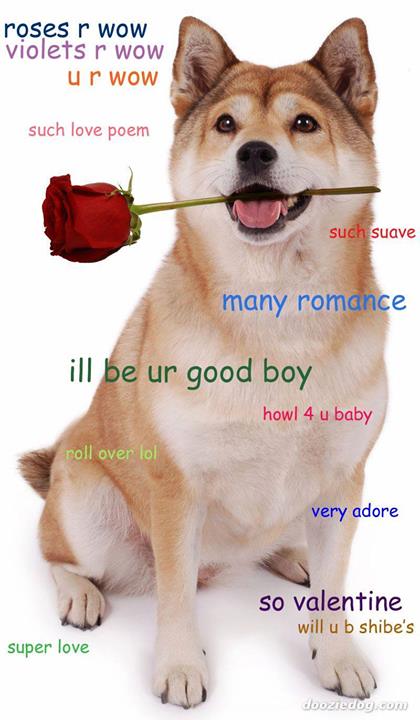 Will you be Doge's Valentine?