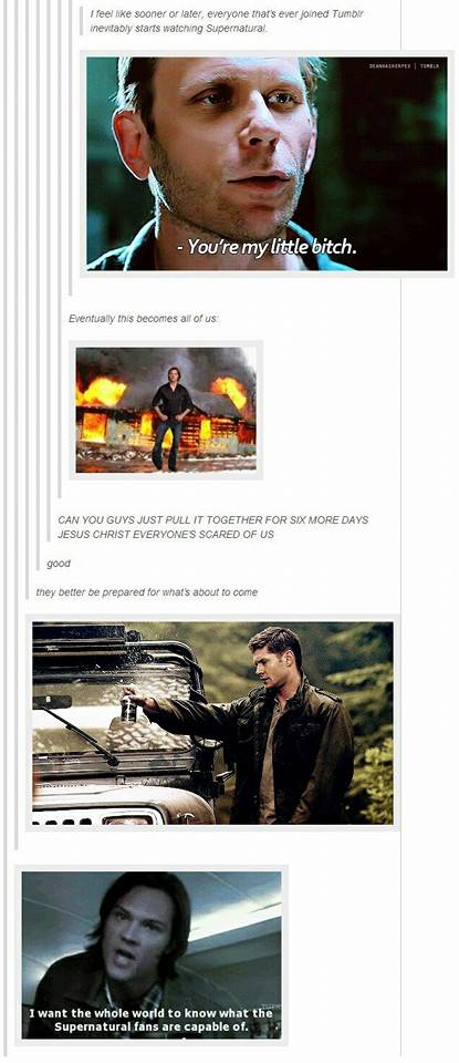 Supernatural fans taking over tumblr and converting it