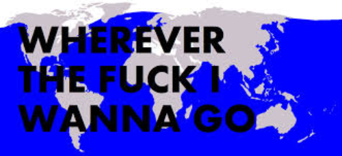 I googled where do blue whales swim
