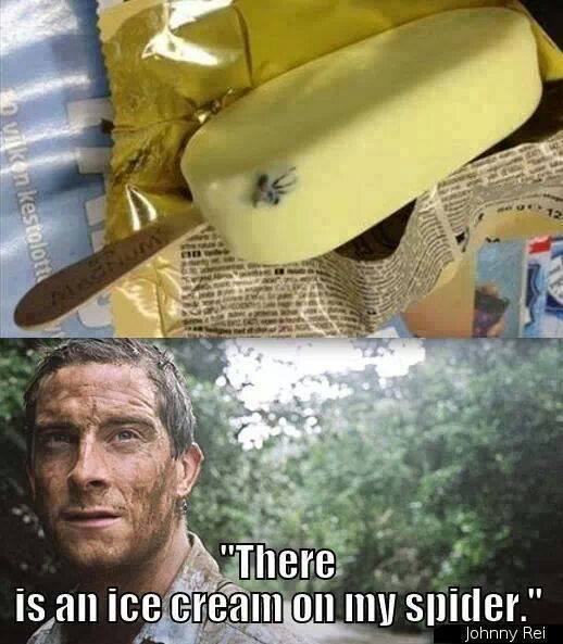 bear grylls approves