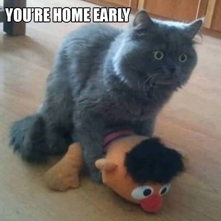 Uhh...gee Bert that was awkward.