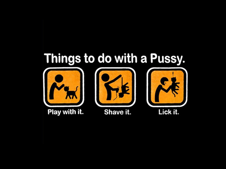 Things to do with a pussy