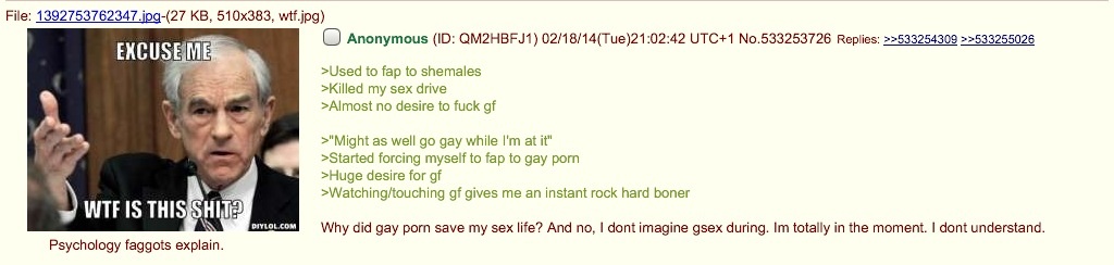 Gay porn saved anons sex life