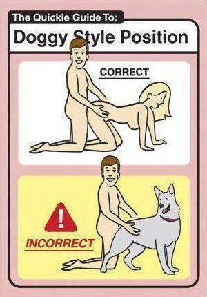 The quickie guide