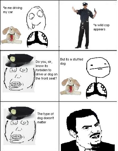 Dog type doesn't matter