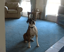 When my girlfriend asks for sexy time.