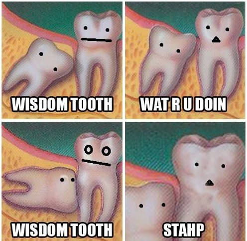 Scumbag Wisdom Tooth