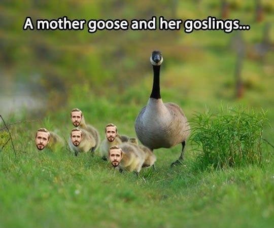 Mother goose