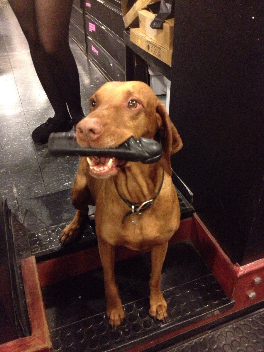 what a nice bone