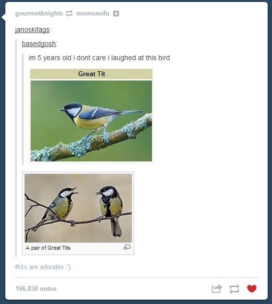 Am I too late for the porn raid?