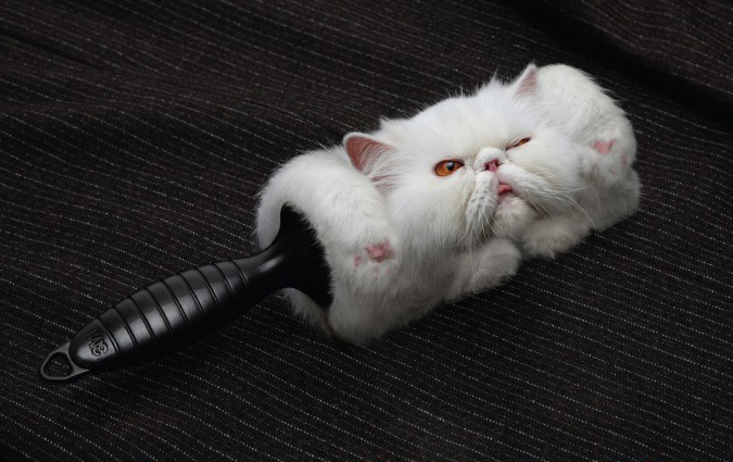 They said I could be Anything