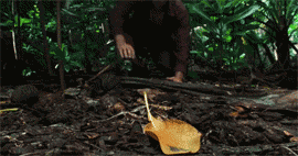When I went down for the first time...