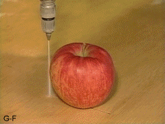 A expensive way to cut apples.