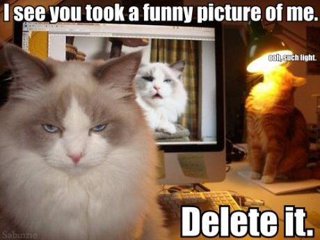 When a friend tags you in a horrible photo on Facebook