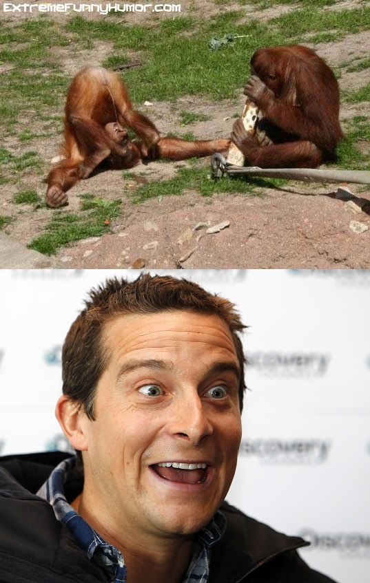 Bear Grylls is amazed