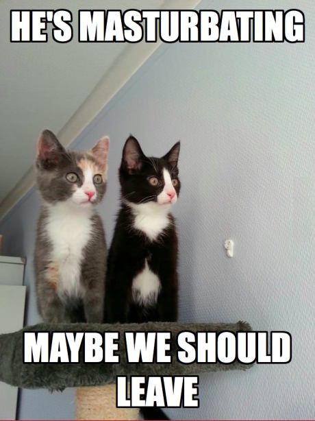 sneaky b*stards.. they love to watch anyways.... !!!