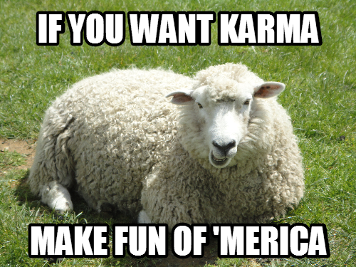 Actual advice sheep
