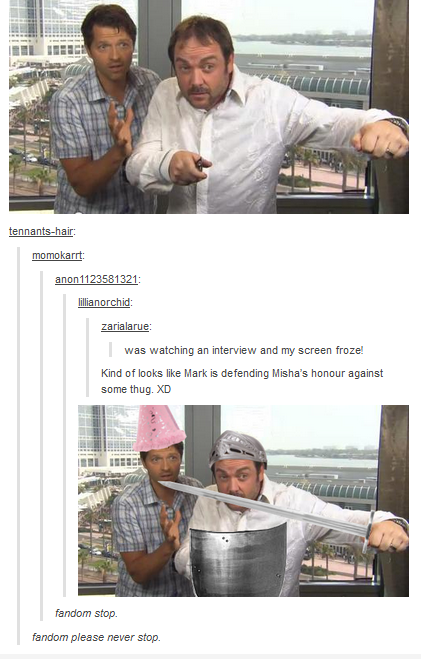 Fandom never stops