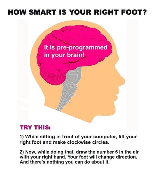 Test your Hand and Foot!