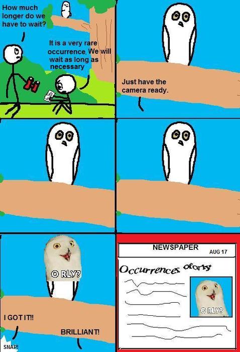 repost? orly?