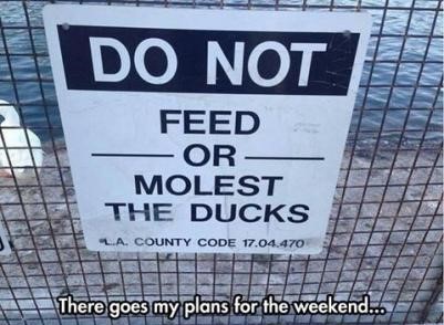 well guess im free next weekend. does someone want to take the ducks place?
