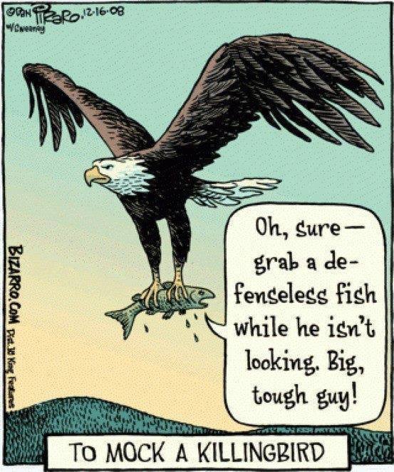 to kill a mockingfish