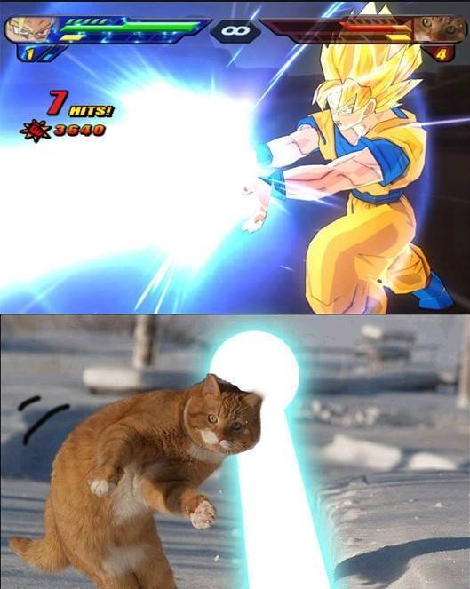 Hang in there Korin! (Secret Character to Unlock)