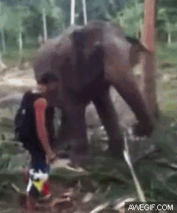 the best *** slap i've ever seen